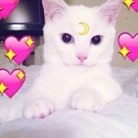 Лилия Иванова