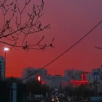 Artyom Bogov