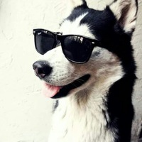 Ваня Виницкий