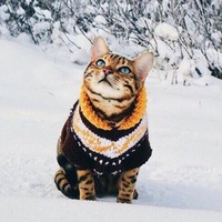 Костя Яныгин