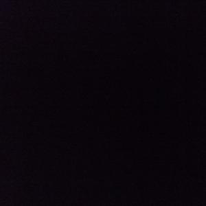 Амир Залевович