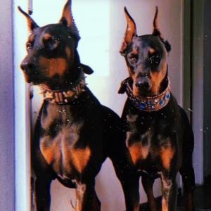 Анатольевна