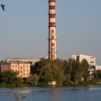 Никита Михаленко
