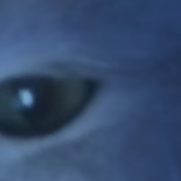 KLIKER