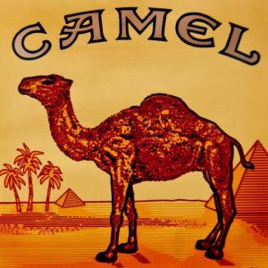 Camell
