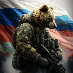 i.sherbakcov2017