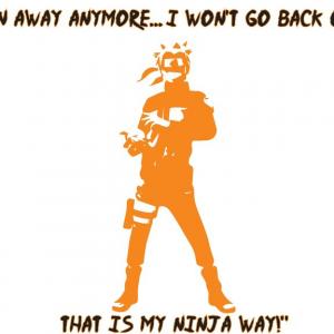 thewayoftheninja
