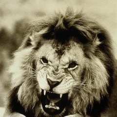 Артур Артурович