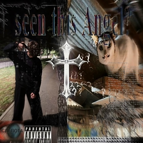 Дмитрий Шандер