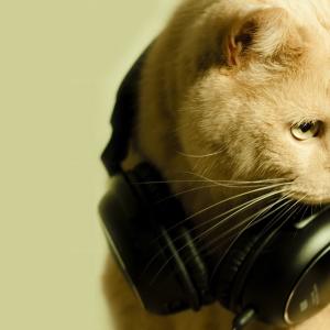 Ахмед Османов