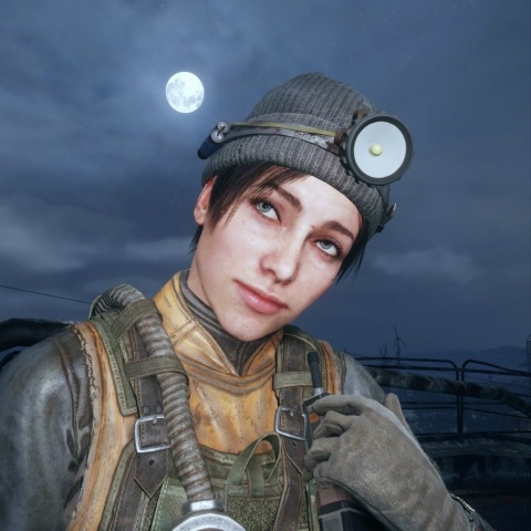 lion